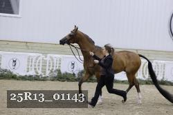 25R13_01143 thumbnail