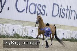 25R13_01144 thumbnail