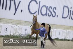 25R13_01145 thumbnail
