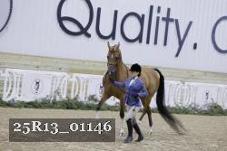 25R13_01146 thumbnail