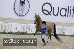25R13_01147 thumbnail