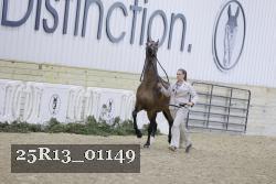 25R13_01149 thumbnail