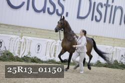 25R13_01150 thumbnail