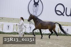 25R13_01151 thumbnail