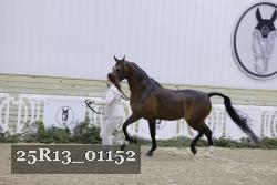 25R13_01152 thumbnail