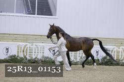 25R13_01153 thumbnail