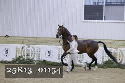 25R13_01154 thumbnail