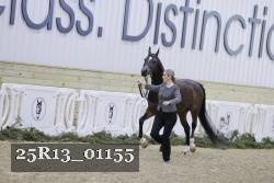 25R13_01155 thumbnail