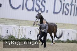 25R13_01156 thumbnail