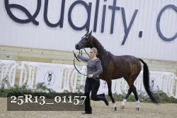25R13_01157 thumbnail