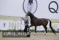 25R13_01158 thumbnail