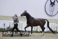 25R13_01159 thumbnail