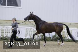 25R13_01160 thumbnail
