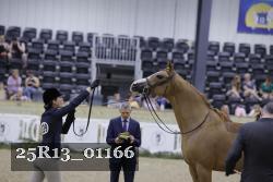 25R13_01166 thumbnail