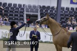 25R13_01167 thumbnail