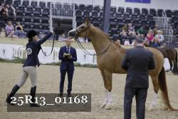 25R13_01168 thumbnail
