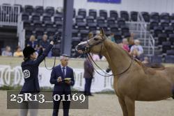 25R13_01169 thumbnail