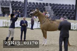 25R13_01170 thumbnail