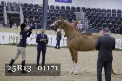25R13_01171 thumbnail
