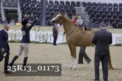 25R13_01173 thumbnail