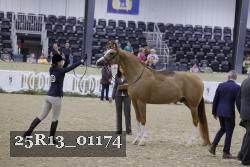 25R13_01174 thumbnail
