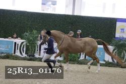 25R13_01176 thumbnail