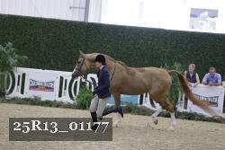 25R13_01177 thumbnail