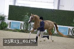 25R13_01178 thumbnail