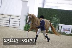 25R13_01179 thumbnail