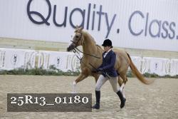 25R13_01180 thumbnail