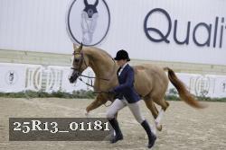 25R13_01181 thumbnail