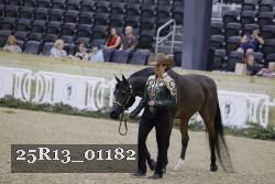 25R13_01182 thumbnail