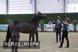25R13_01186 thumbnail