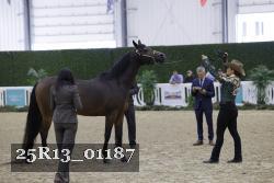 25R13_01187 thumbnail