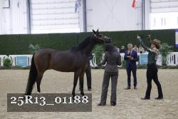 25R13_01188 thumbnail