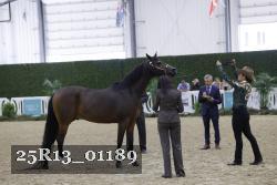 25R13_01189 thumbnail