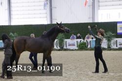 25R13_01190 thumbnail
