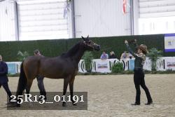 25R13_01191 thumbnail