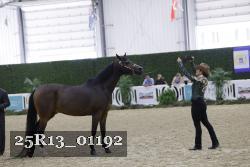 25R13_01192 thumbnail