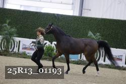 25R13_01193 thumbnail