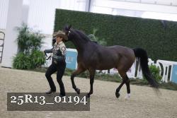 25R13_01194 thumbnail