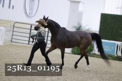 25R13_01195 thumbnail