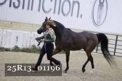 25R13_01196 thumbnail