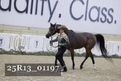 25R13_01197 thumbnail
