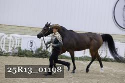 25R13_01198 thumbnail