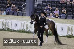 25R13_01199 thumbnail