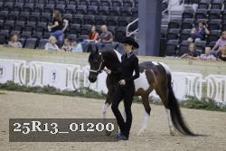 25R13_01200 thumbnail