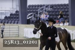 25R13_01201 thumbnail