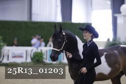 25R13_01203 thumbnail