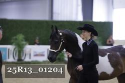 25R13_01204 thumbnail